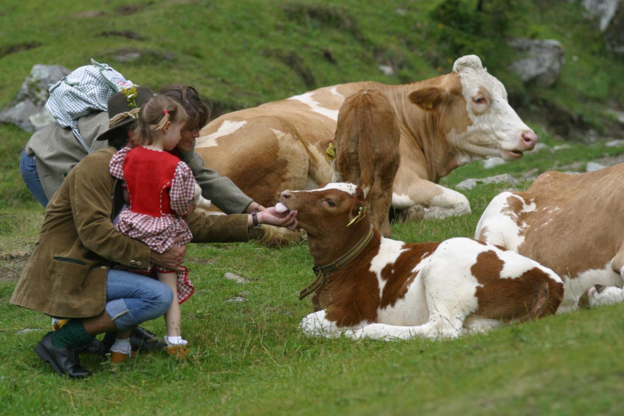 Gourmetbauernhof Mentebauer Séjour à la ferme Gmünd